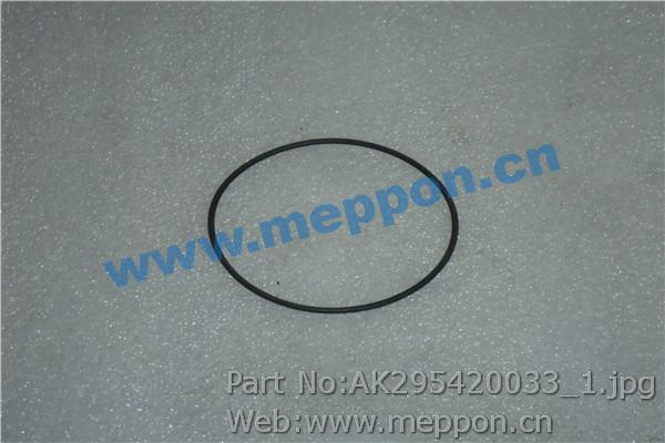 AK295420033