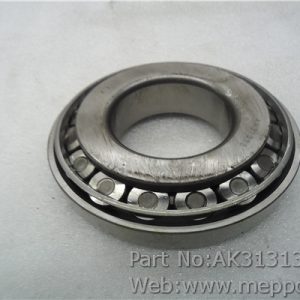 AK31313