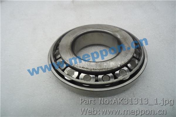 AK31313