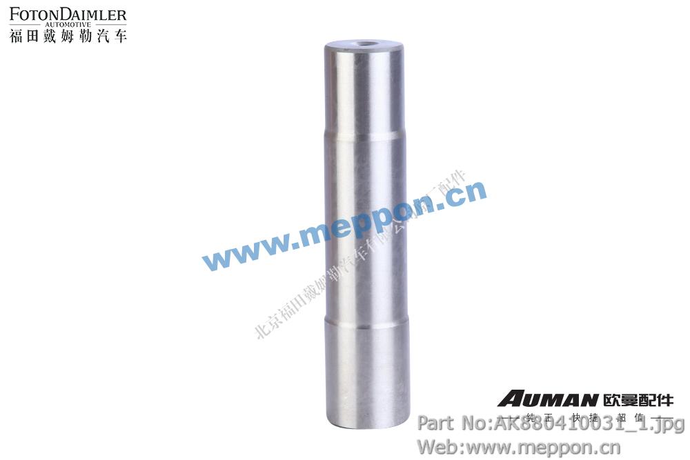 AK880410031