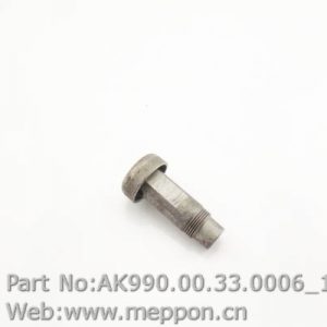 AK990.00.33.0006