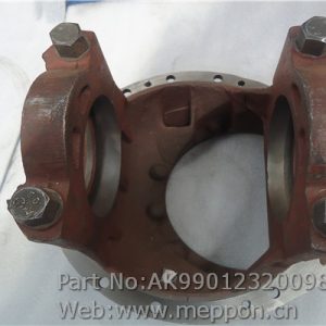 AK99012320098