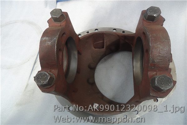 AK99012320098