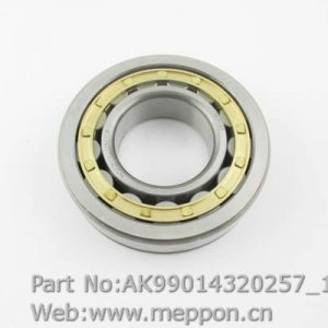 AK99014320257