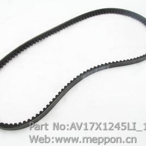 AV17X1245LI