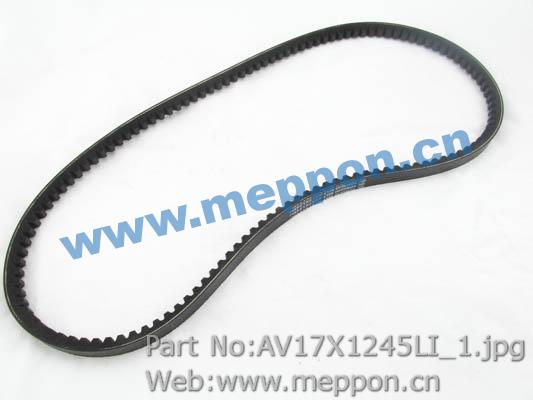 AV17X1245LI