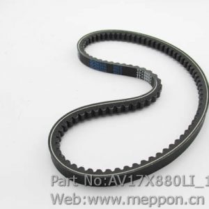 AV17X880LI