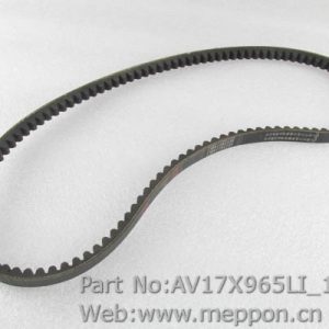 AV17X965LI