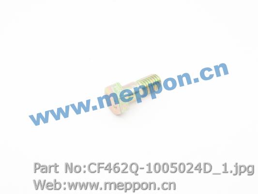 CF462Q-1005024D