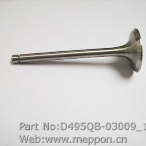 D495QB-03009
