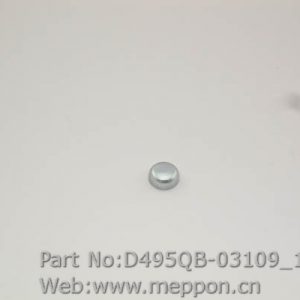 D495QB-03109