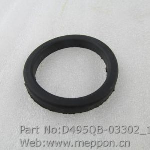 D495QB-03302
