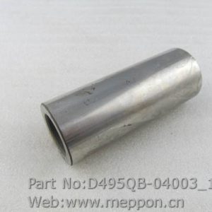 D495QB-04003