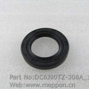 DC6J90TZ-308A