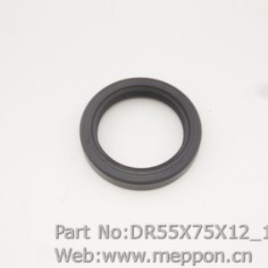 DR55X75X12