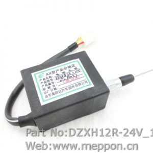 DZXH12R-24V