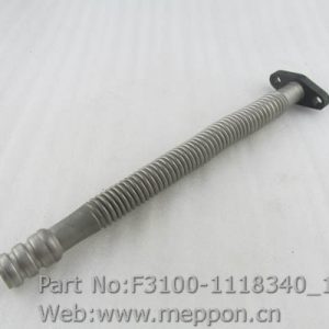 F3100-1118340