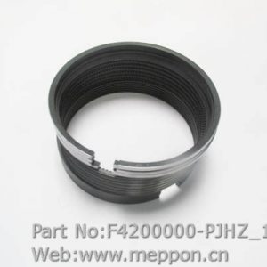 F4200000-PJHZ