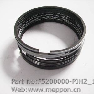 F5200000-PJHZ