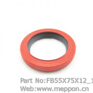 FB55X75X12