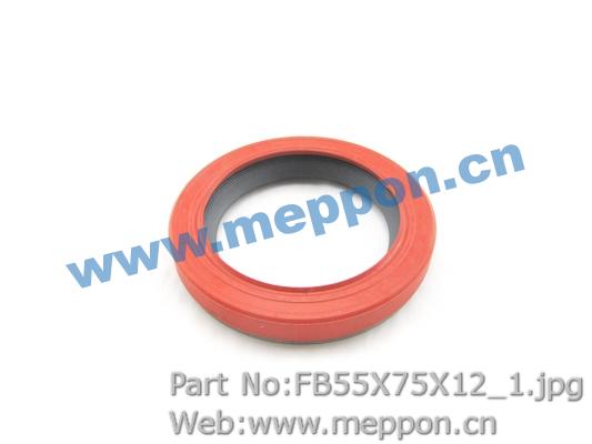 FB55X75X12