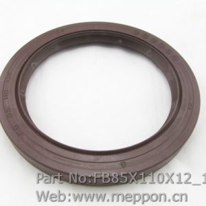 FB85X110X12