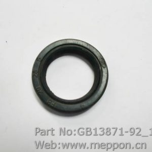 GB13871-92