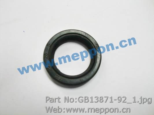 GB13871-92