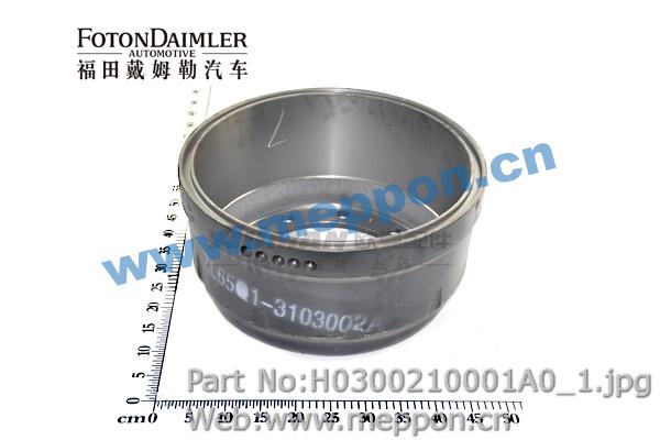 H0300210001A0