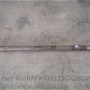 HFF2400112CK9GOM