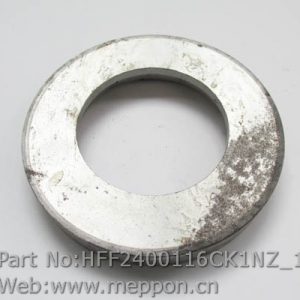 HFF2400116CK1NZ