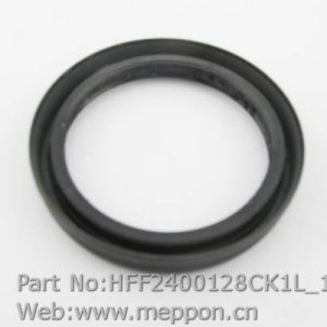 HFF2400128CK1L