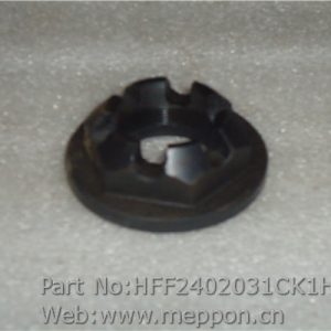 HFF2402031CK1H