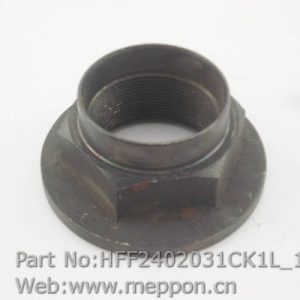 HFF2402031CK1L