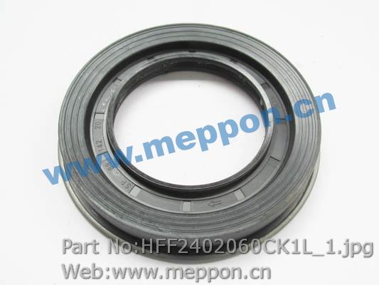 HFF2402060CK1L