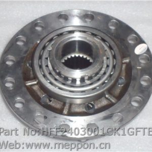 HFF2403001CK1GFTB