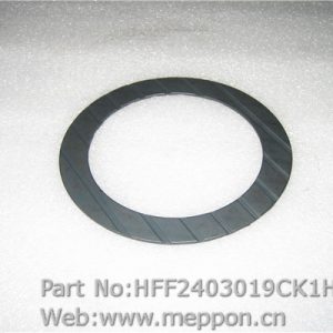 HFF2403019CK1H