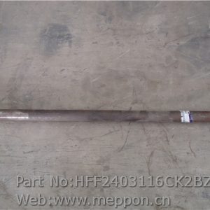 HFF2403116CK2BZ