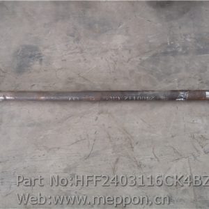 HFF2403116CK4BZ