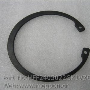 HFF2405022CK1VZC