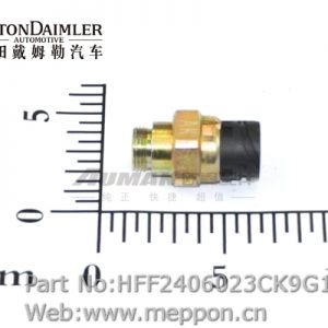 HFF2406023CK9G1
