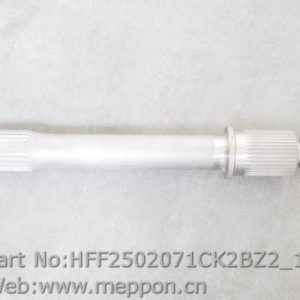 HFF2502071CK2BZ2