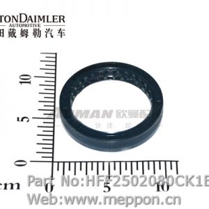 HFF2502080CK1E