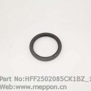 HFF2502085CK1BZ