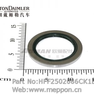 HFF2502086CK1E