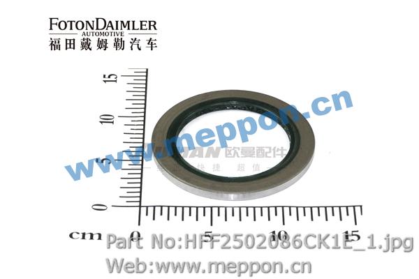 HFF2502086CK1E