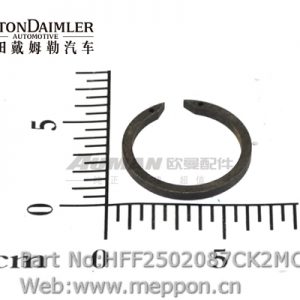 HFF2502087CK2MC