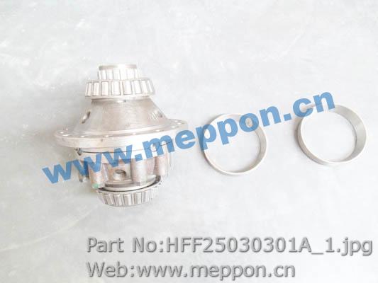HFF25030301A