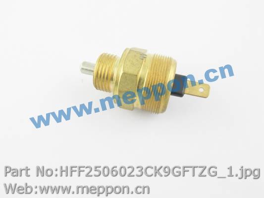 HFF2506023CK9GFTZG