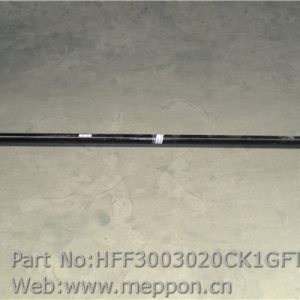 HFF3003020CK1GFT